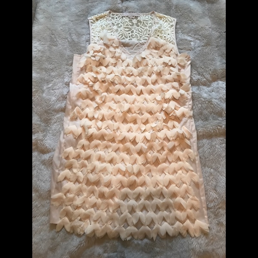 Champagne and Strawberry cocktail dress size 6